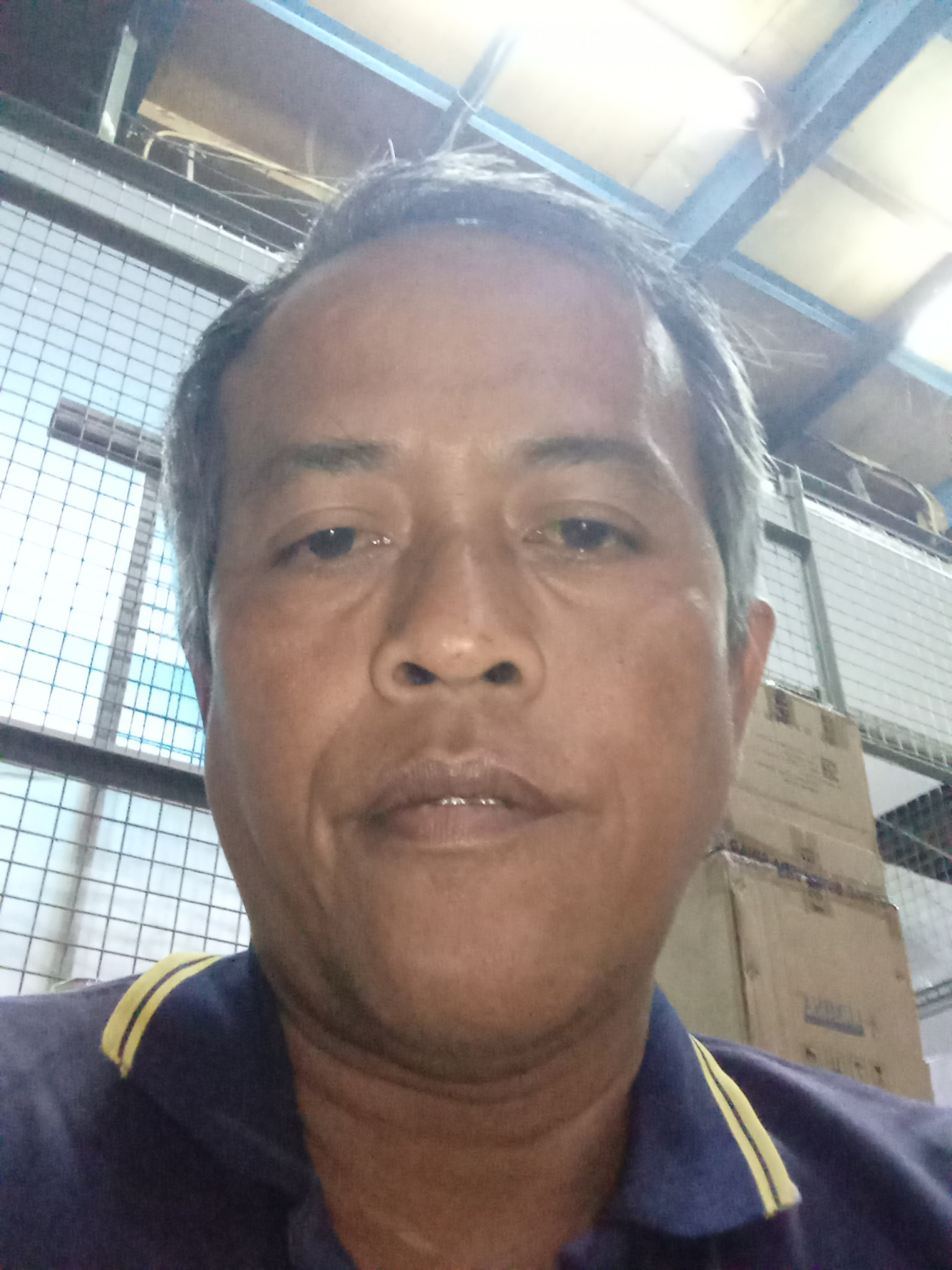 ulasan dari DediTimbul